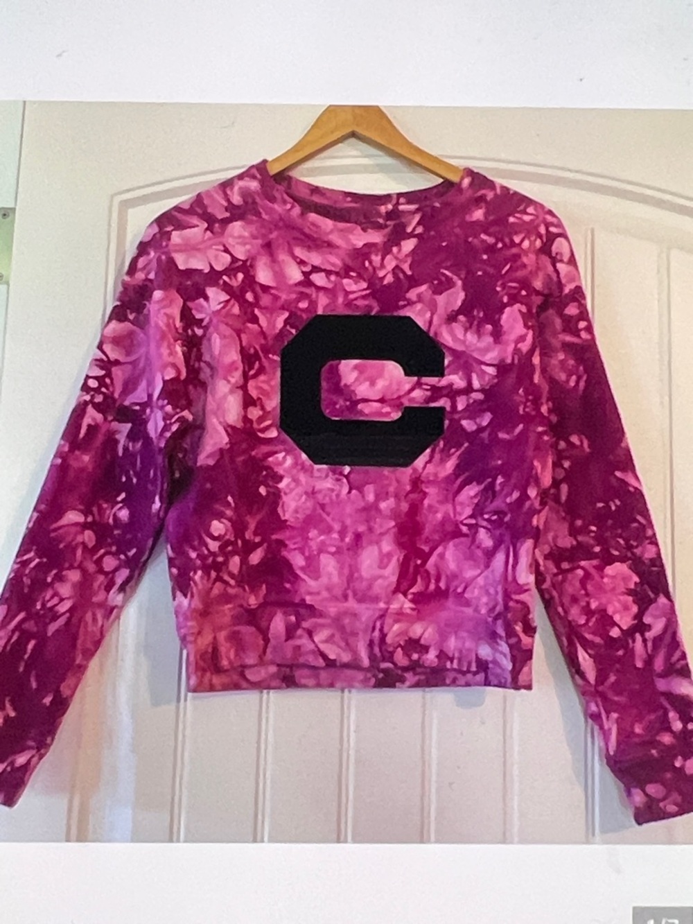 Champion Reverse Weave Crush Sweatshirt